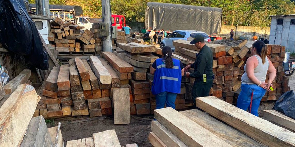 Operativos de tráfico ilegal de madera deja como resultado la captura de 21 personas