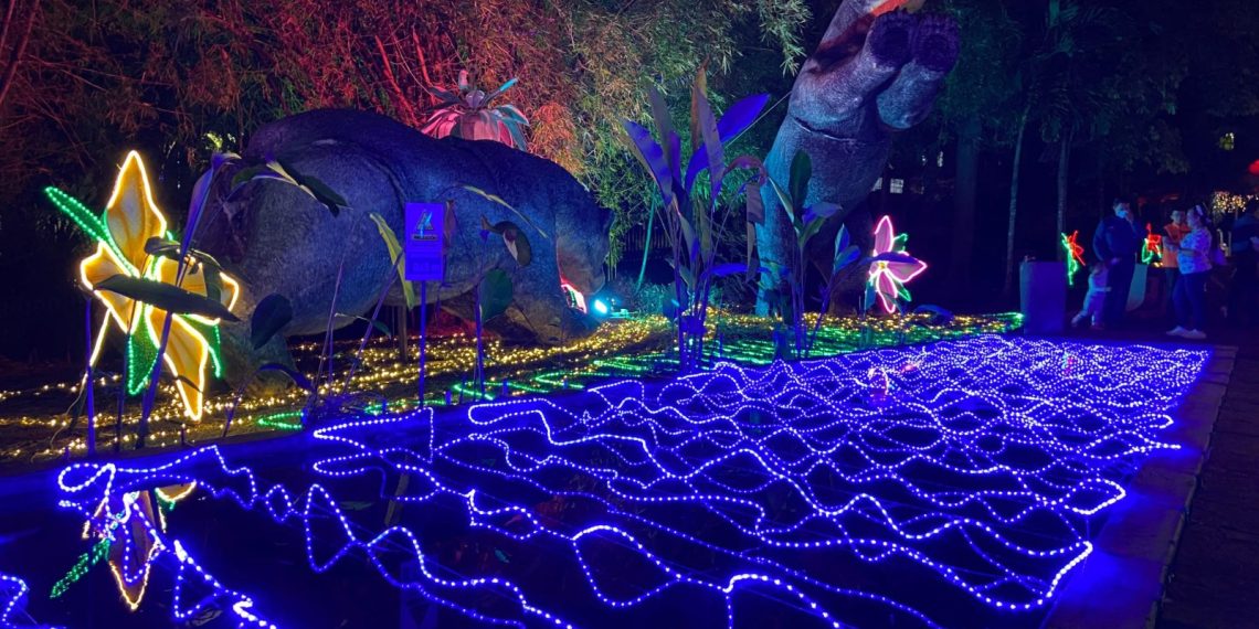 Bucaramanga tiene en navidad “Magia Silvestre”, las maravillas de la naturaleza