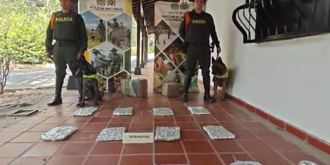 Policía de Bucaramanga ha incautado otra encomienda llena de marihuana, esta vez con 13 mil gramos