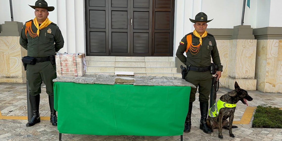 Policía incautó 16 kilos de marihuana en encomienda que tenía como destino Bucaramanga