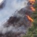 Piedecuesta se encuentra en alerta roja ante posibilidad de más incendios forestales, 6 hectáreas de boque nativo han sido arrasadas