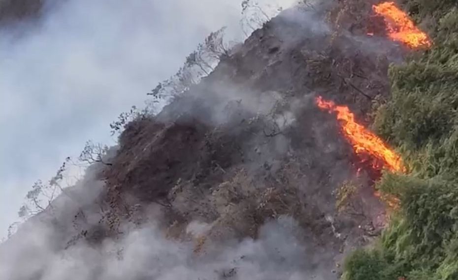 Piedecuesta se encuentra en alerta roja ante posibilidad de más incendios forestales, 6 hectáreas de boque nativo han sido arrasadas