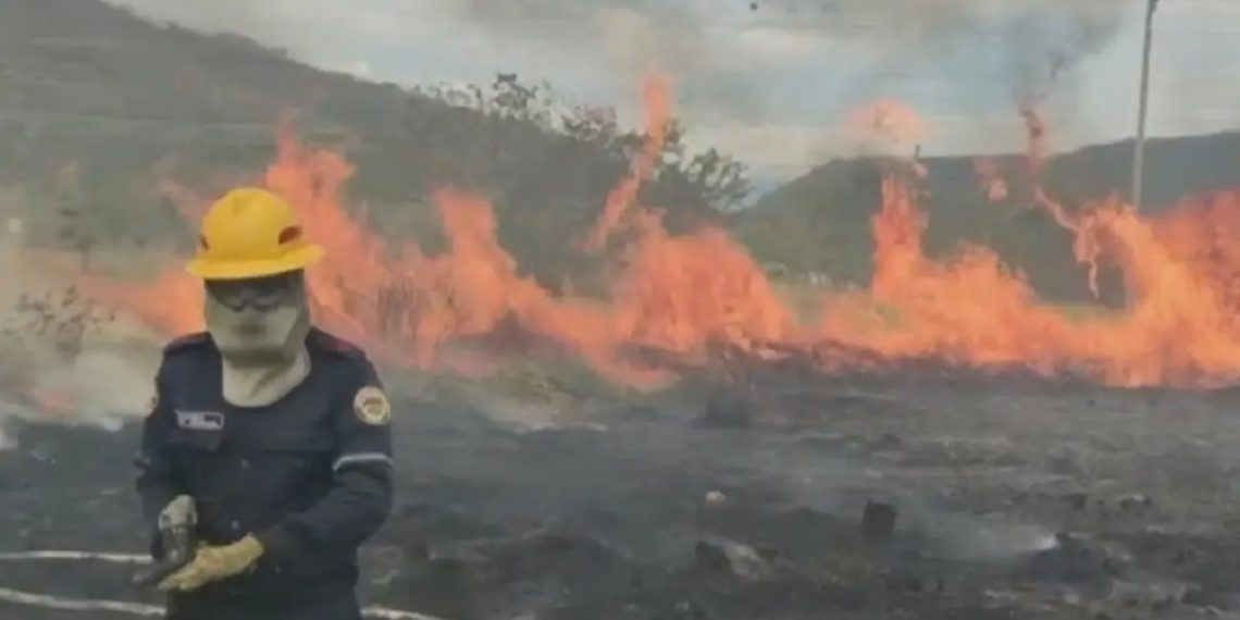 Bomberos de Floridablanca atiende incendio forestal en Valle de Ruitoque