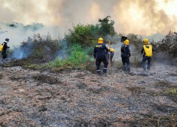 En Barrancabermeja declarada la alerta naranja ante alta probabilidad de incendios forestales