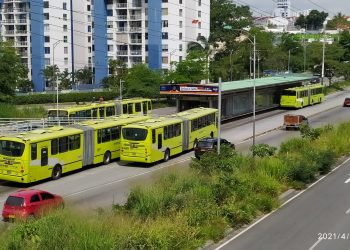 Metrocinco Plus podría seguir operando en el Área Metropolitana por dos meses más