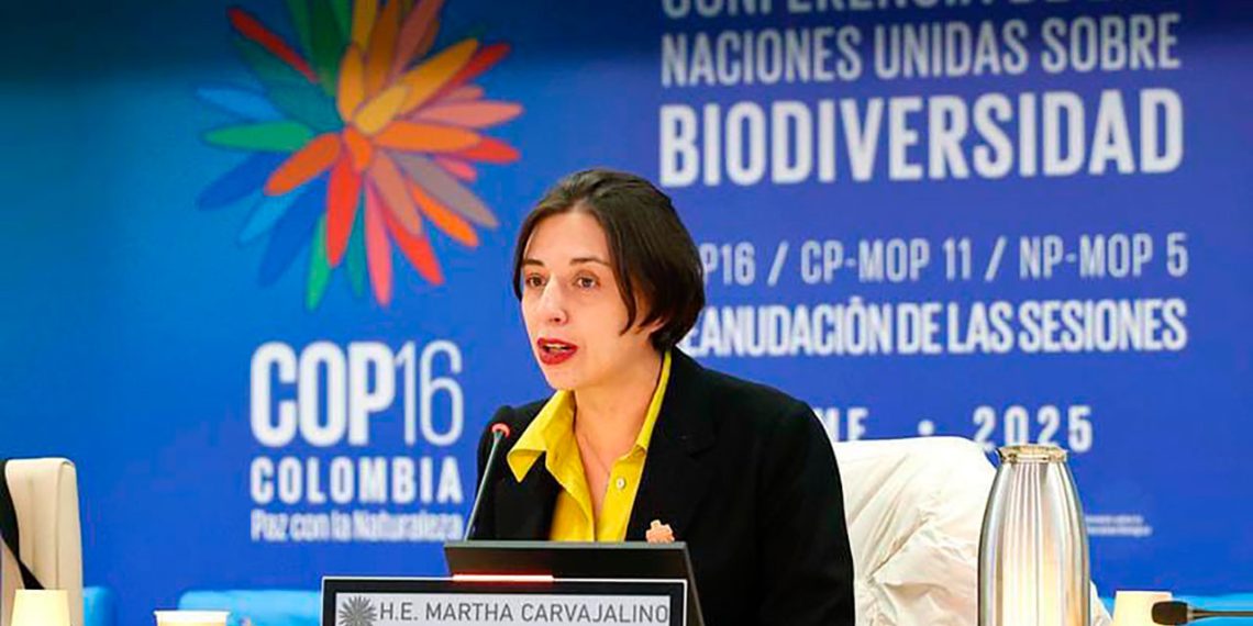 Ministra de Agricultura destaca la importancia de una producción alimentaria sostenible en la COP16