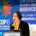 Ministra de Agricultura destaca la importancia de una producción alimentaria sostenible en la COP16