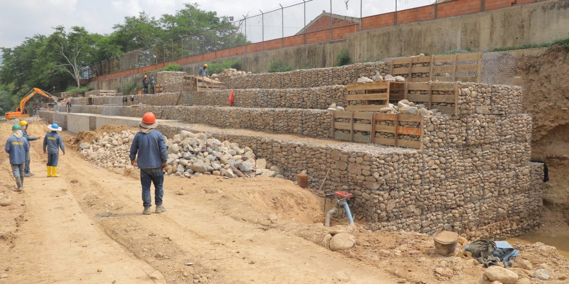 CDMB construye 820 metros de protección en el Río de Oro para salvaguardar la cadena alimenticia de los santandereanos