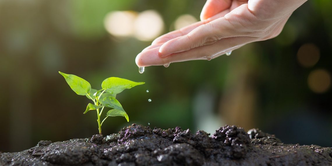 Inicia primera campaña del 2025 por la reforestación de Santander