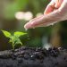 Inicia primera campaña del 2025 por la reforestación de Santander