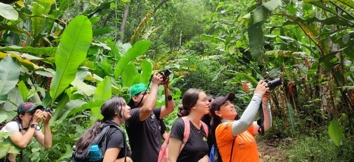 Bucaramanga y su Área Metropolitana se suman por quinta vez al City Nature Challenge 2025
