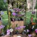 CDMB y Asorquisan presentan la 13ª Exposición Nacional de Orquídeas en Santander