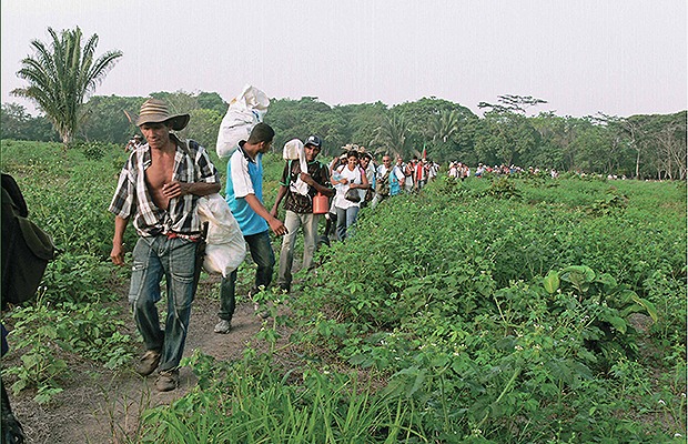 Campesinos recuperan tierras tras décadas de conflicto en Santander