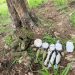 Ejército Nacional neutraliza depósito de material de guerra del GAO Clan del Golfo en el sur de Cesar