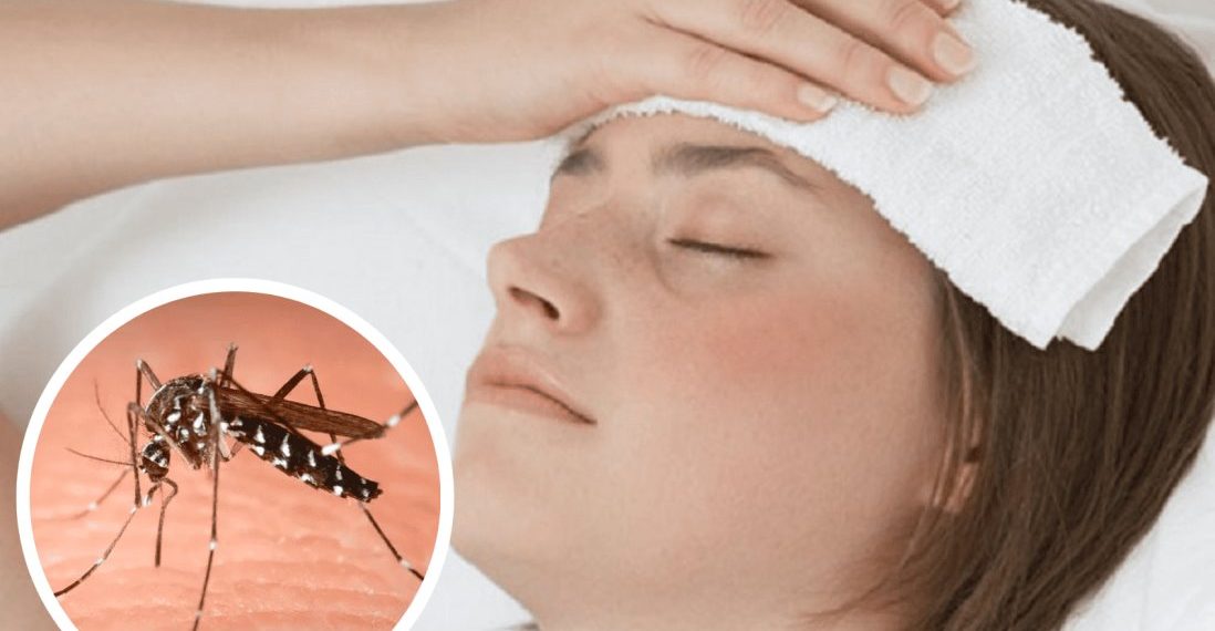 Floridablanca mantiene alerta por dengue y fiebre amarilla