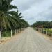 Ecopetrol mejora la conectividad rural con el mantenimiento de 23,5 km de vías terciarias