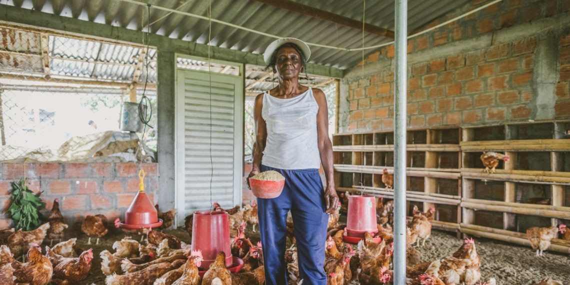 MinAgricultura lanza dos convocatorias para fortalecer la productividad de mujeres rurales
