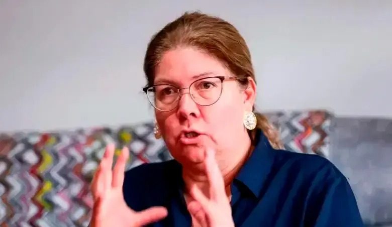 “Democracia en riesgo”: MOE lanza alarmas por violencia e inseguridad de cara a elecciones de 2026