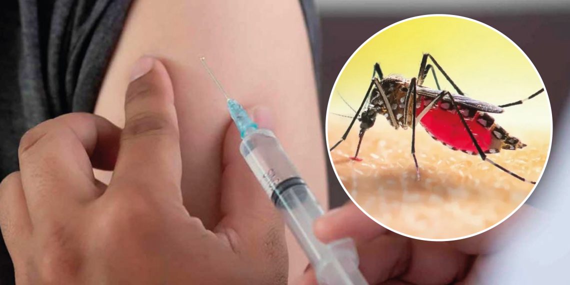 Bucaramanga en alerta sanitaria por fiebre amarilla: autoridades intensifican vacunación y campañas comunitarias