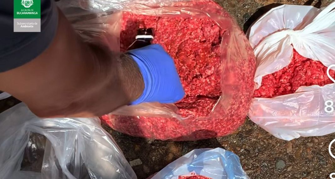 Secretaría de Salud decomisa 18 libras de carne molida en operativo en la Plaza de San Francisco