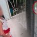 ¡Atención! 56 años de prisión por feminicidio de menor migrante: Girón exige justicia con rostro humano