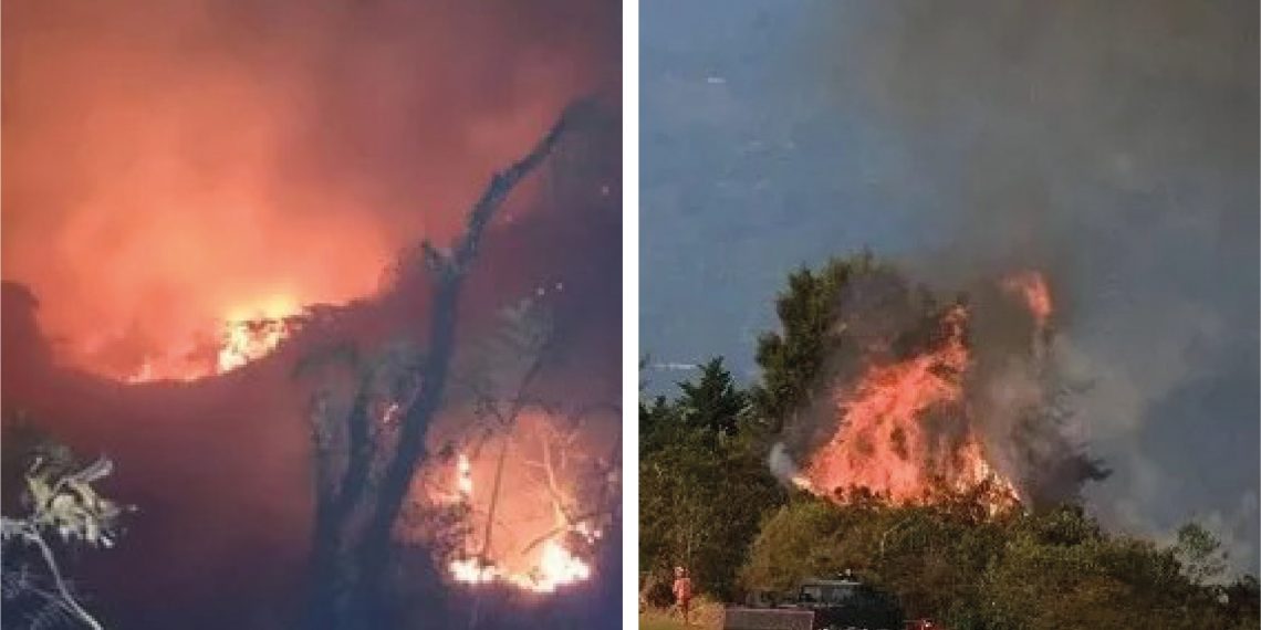 ¡Atención! Incendios forestales arrasan zonas rurales de Santander: autoridades en máxima alerta