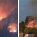 ¡Atención! Incendios forestales arrasan zonas rurales de Santander: autoridades en máxima alerta