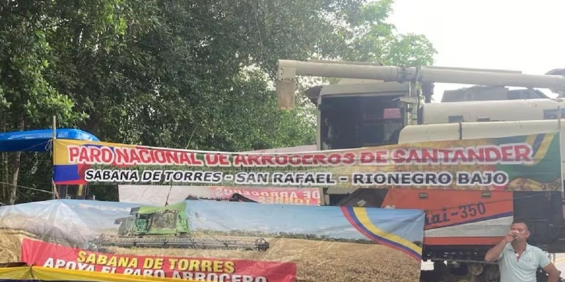 Paro arrocero paraliza el Magdalena Medio: desabastecimiento, pérdidas y bloqueos golpean a Santander y sus vecinos