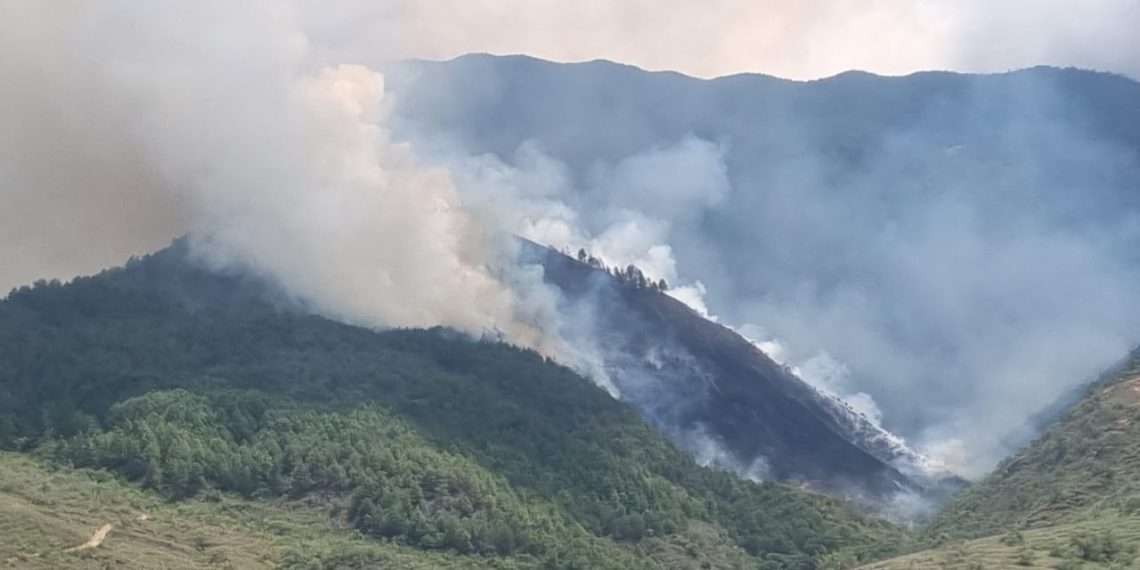 Incendio forestal en Zapatoca: comunidad en alerta y autoridades intensifican respuesta