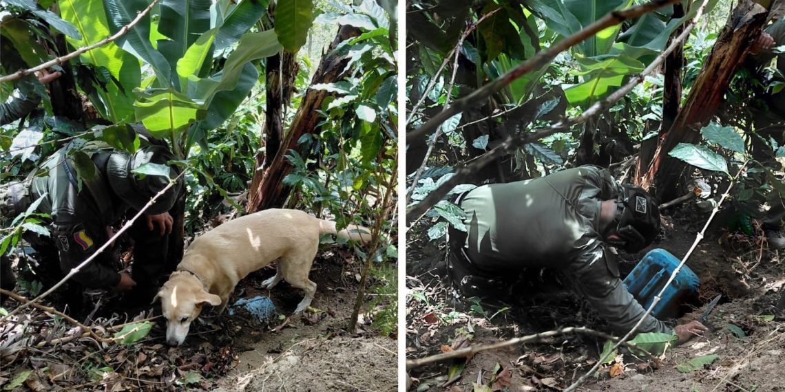Ejército Nacional desmantela depósito ilegal de explosivos del ELN en Norte de Santander