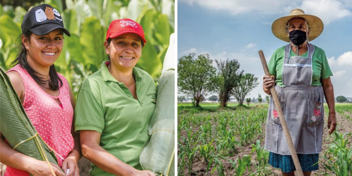 Mujeres rurales siguen marcando el rumbo: avanza proceso de selección para el Comité Directivo del FOMMUR