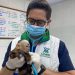 CDMB rescata fauna silvestre en Bucaramanga: un mono cariblanco y dos loras con graves secuelas de salud