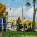 Bucaramanga reverdece: Parque Santander recibe renovación ambiental bajo liderazgo del alcalde Jaime Andrés Beltrán