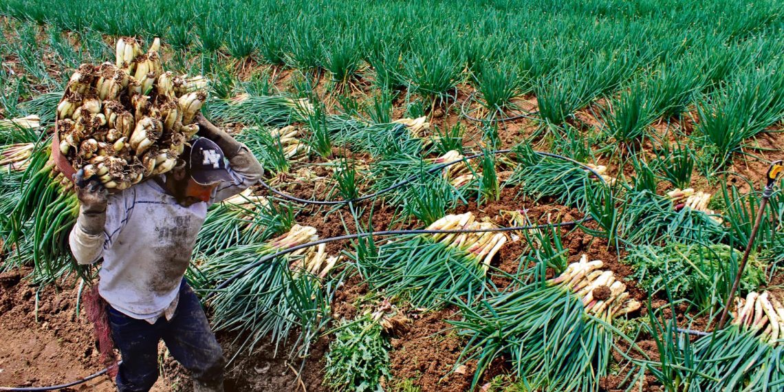 Santander en alerta: lluvias intensas y heladas activan protocolos de emergencia en 14 municipios