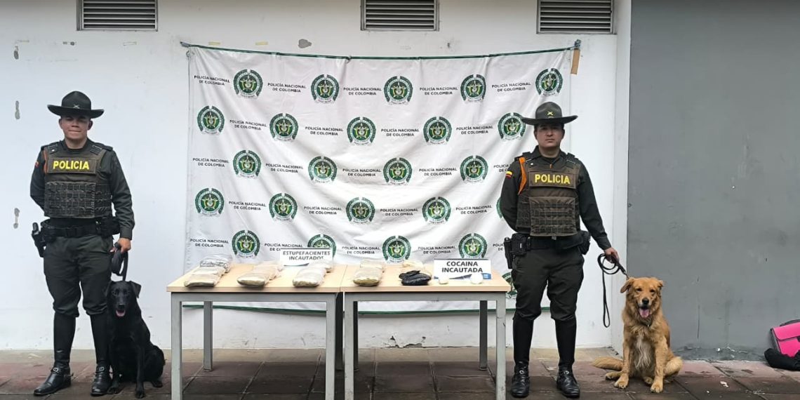 Lucha frontal contra el narcotráfico en Santander