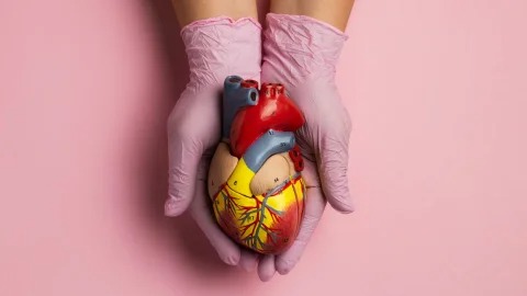 Día Mundial de la Donación de Órganos, Tejidos y Trasplantes – 14 de octubre