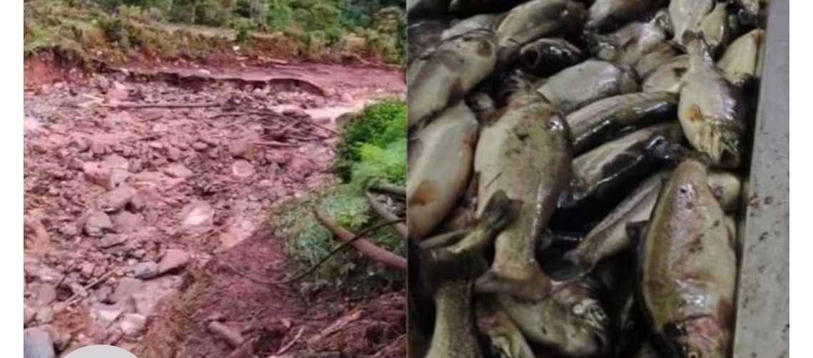 Avenida torrencial en Coromoro causa afectaciones en cultivos y pastizales