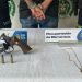 Capturado en flagrancia por hurto agravado y porte ilegal de arma en La Concordia