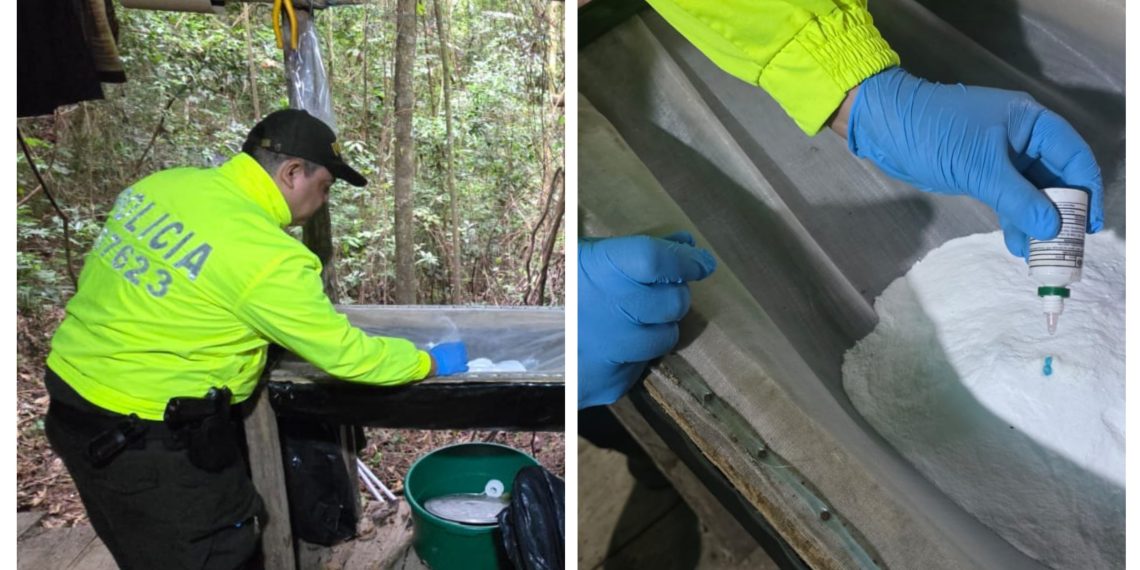 Ejército asesta golpe millonario al narcotráfico del GAO ELN en Norte de Santander