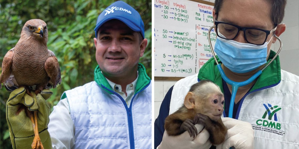 Donde la vida silvestre vuelve a latir: el CAV-CDMB en cifras y esperanza