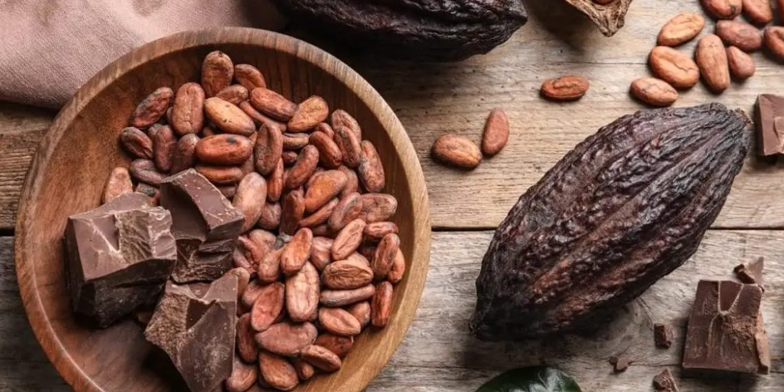 Exportaciones No Minero-Energéticas de Santander alcanzan cifras históricas con un crecimiento del 43,8%