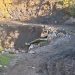 Lluvias atípicas generan graves afectaciones viales en la provincia de Soto Norte