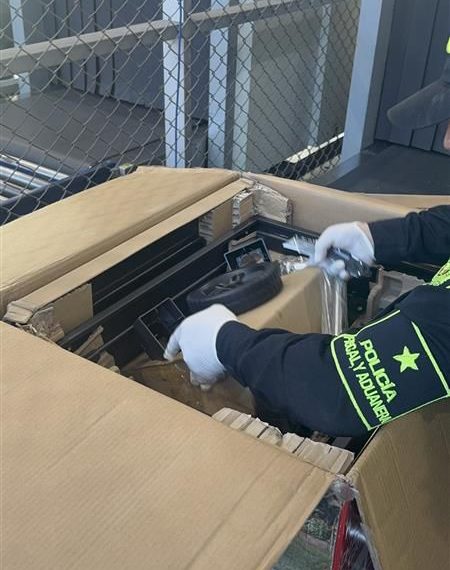 DIAN y POLFA frustran intento de ingresar partes de armas de fuego por El Dorado