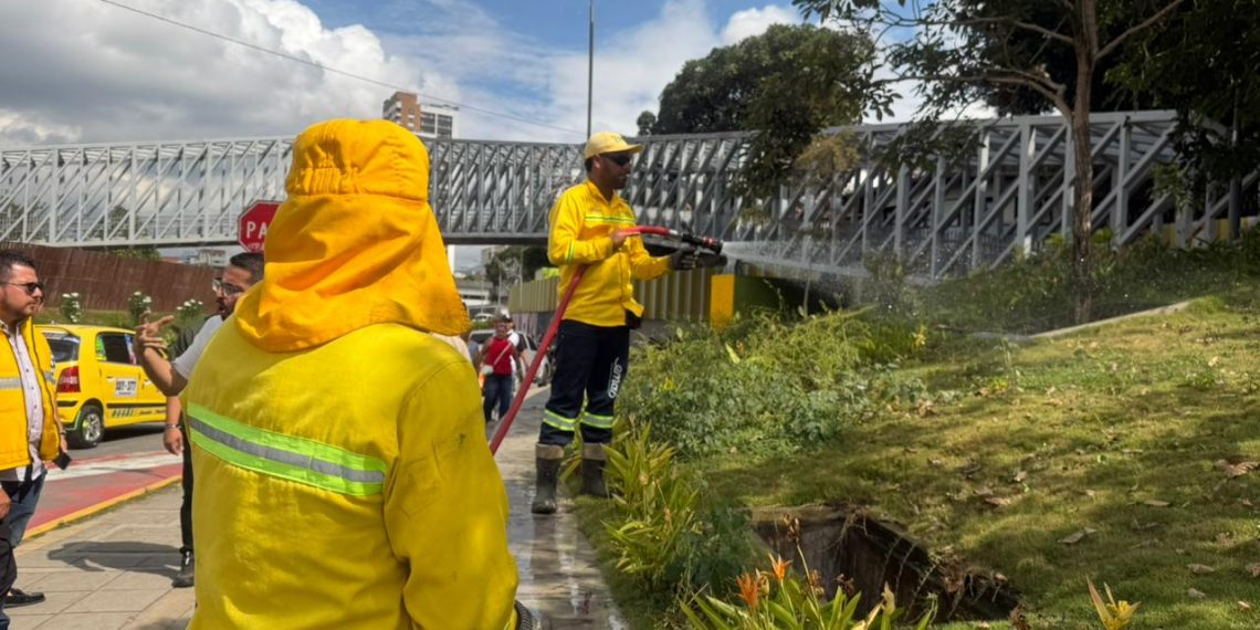 Columna de Opinión: Bucaramanga limpia: entre el recuerdo y el reto