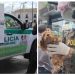 Bucaramanga lanza patrulla animal para proteger a perros y gatos en riesgo
