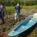 Nueva alarma ambiental: Crudo emerge y amenaza la ciénaga El Llanito, Barrancabermeja