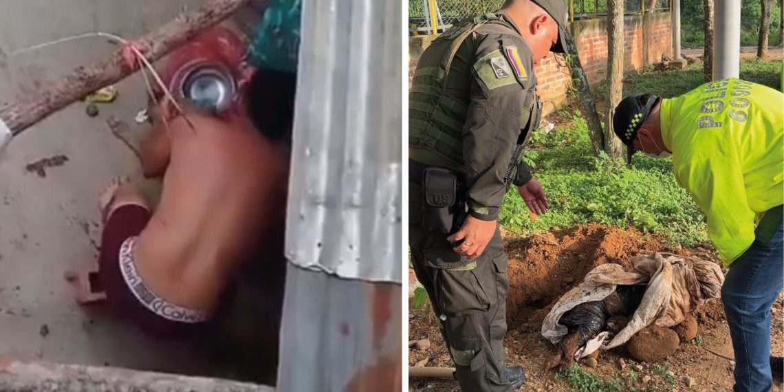 Indignación en Bucaramanga por brutal maltrato a perrita en Betania: Alcaldía promete judicializar al agresor