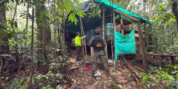 Golpe contundente a las finanzas del Clan del Golfo: desmantelado complejo cocalero en el corazón de Santander