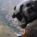 Lo que había detrás de los sobrevuelos que inquietaron a varios sectores de Bucaramanga