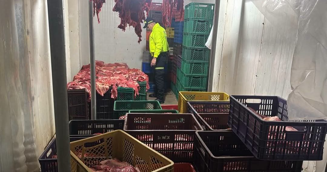 Capturan a 10 personas por presunta venta ilegal de carne de caballo en Bucaramanga